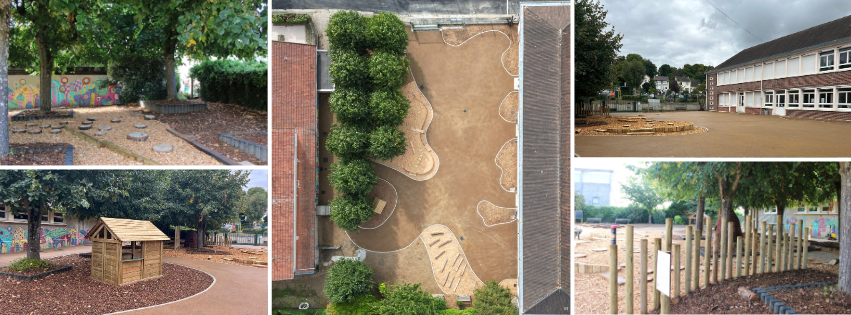 Cours Oasis