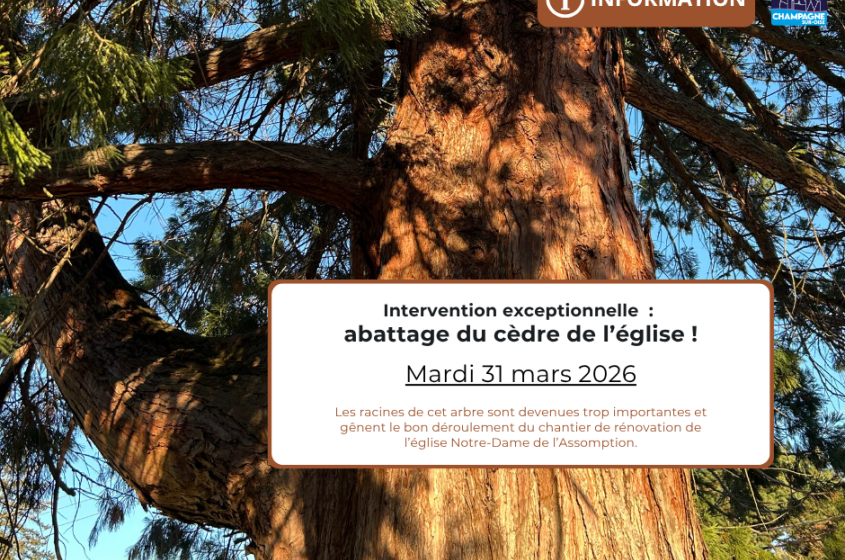 Abattage du cèdre de l’église - 31.03.2026