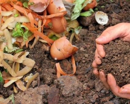 Distribution gratuite de compost par le Syndicat TRI-OR