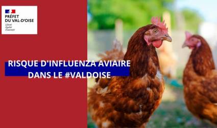 Détection du virus de l’influenza aviaire