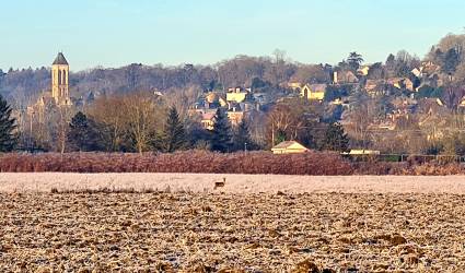 Champagne automne