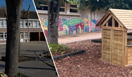 Projet cours Oasis - école du Stade