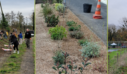 Plantation végétaux - mars 2025