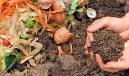 Distribution gratuite de compost par le Syndicat TRI-OR