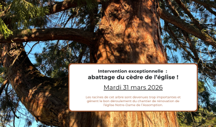 Abattage du cèdre de l’église - 31.03.2026