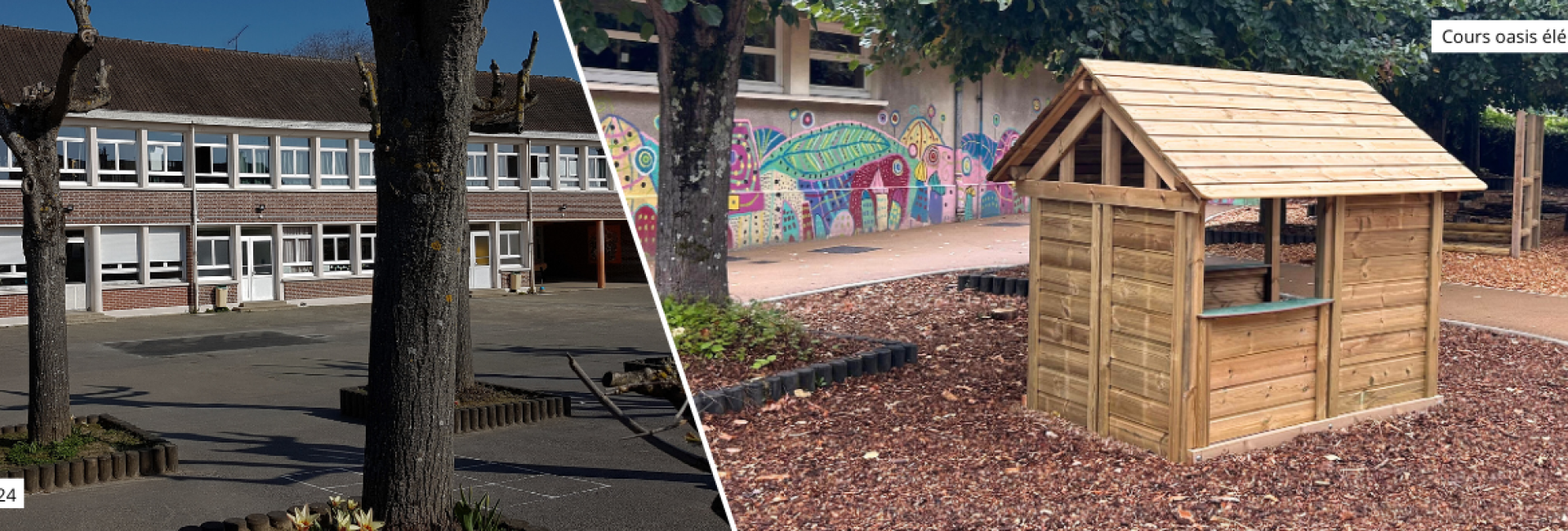 Projet cours Oasis - école du Stade