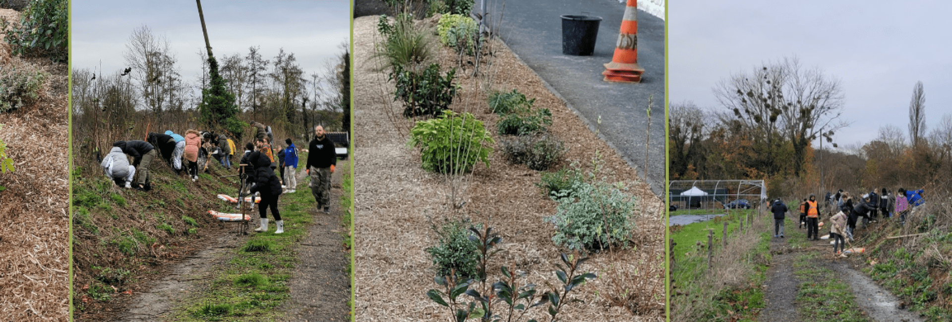 Plantation végétaux - mars 2025