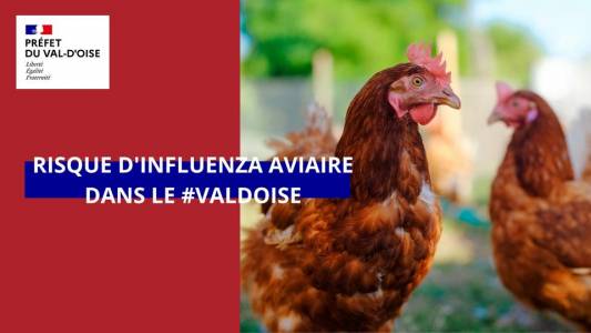 Détection du virus de l’influenza aviaire