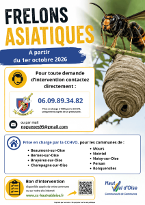 Frelons asiatiques nouveau dispositif CCHVO 2026