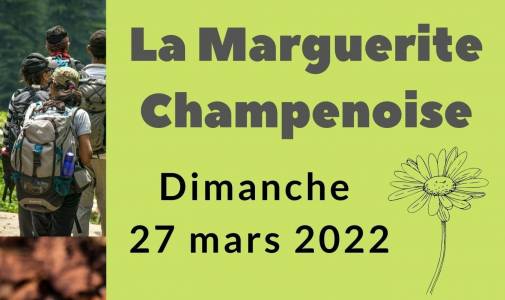La Marguerite Champenoise