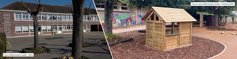 Projet cours Oasis - école du Stade