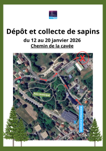 Dépôt et collecte de sapins - 12.01.2026