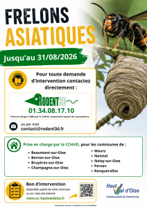 Destruction des nids de frelons asiatiques : une procédure simplifiée CCHVO