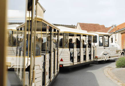 Sortie seniors - 16.05.2025