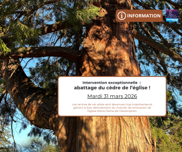 Abattage du cèdre de l’église - 31.03.2026