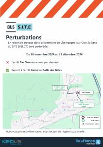 PERTURBATIONS SITE