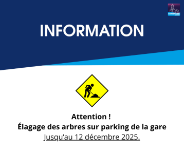 Travaux élagage gare - 12.12.2025