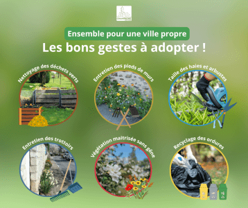 Ensemble pour une ville propre : les bons gestes à adopter !