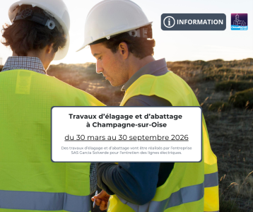 Travaux d’élagage et d’abattage - mars à septembre 2026