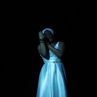 Spectacle Nina Simone PIVO - 13.02.2026