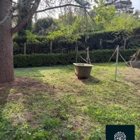 À la découverte de nos commerçants Champenois ! Ep5 : Florian, Florescence