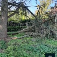 À la découverte de nos commerçants Champenois ! Ep5 : Florian, Florescence