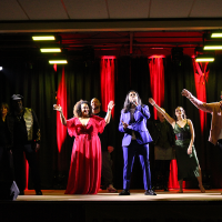 Spectacle Comme un rêve Téléthon - 15.11.2025