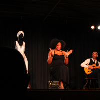 Spectacle Nina Simone PIVO - 13.02.2026