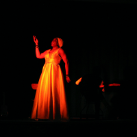 Spectacle Nina Simone PIVO - 13.02.2026