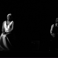 Spectacle Nina Simone PIVO - 13.02.2026