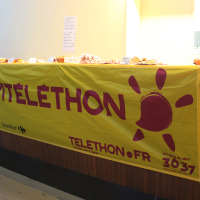 Spectacle Comme un rêve Téléthon - 15.11.2025