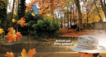 Balade du patrimone - 24.10.2026