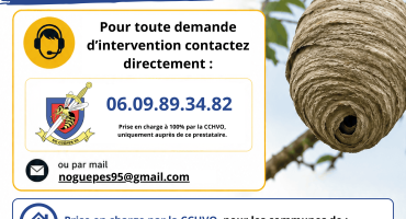 Frelons asiatiques nouveau dispositif CCHVO 2026