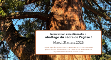 Abattage du cèdre de l’église - 31.03.2026