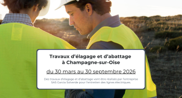 Travaux d’élagage et d’abattage - mars à septembre 2026